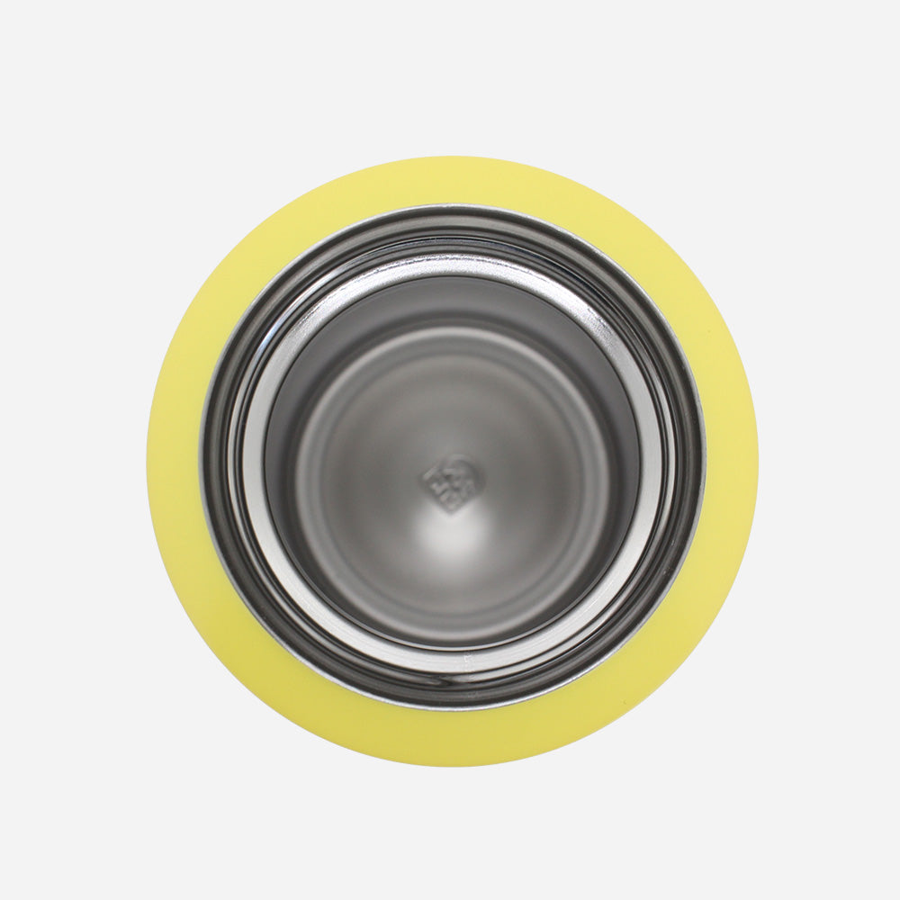 Stainless steel bottle with handle 500