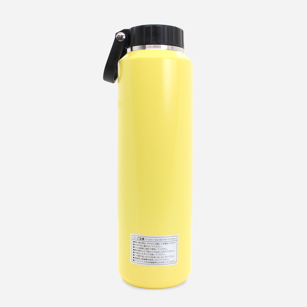 Stainless steel bottle with handle 710