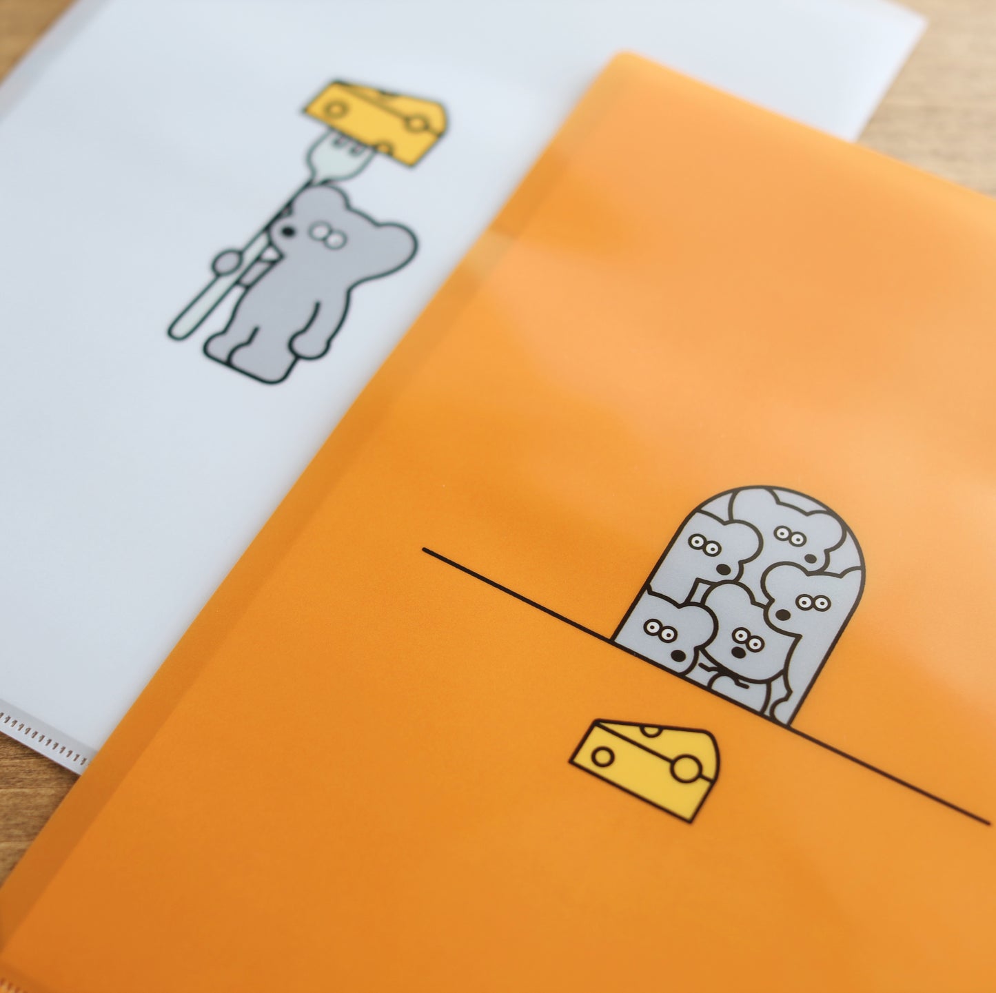 A4 clear file