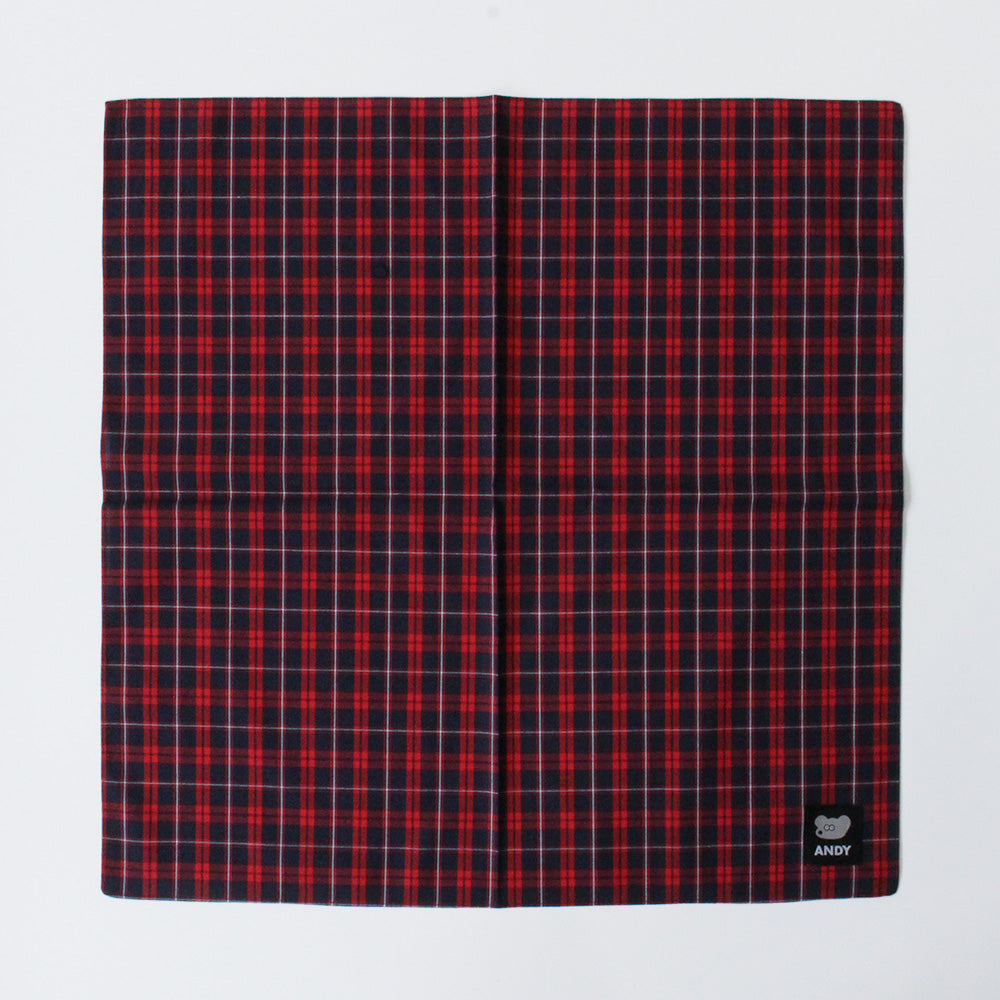 Handkerchief Check Red